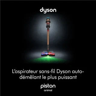 Aspirateur balai Dyson V16 Piston Animal